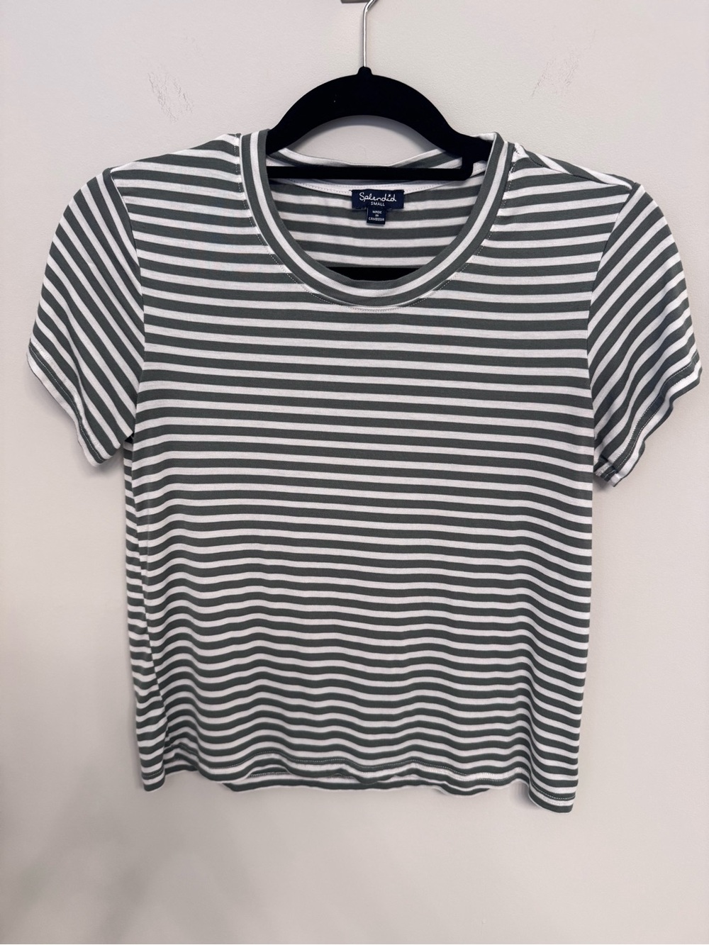 Splendid Sage Green and White Striped Crewneck Tee